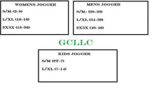 Load image into Gallery viewer, WIZ DESTINATIONS LEGGING/JOGGER