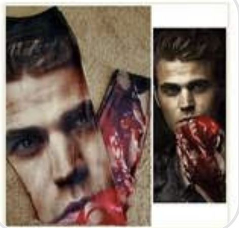 Stefan Leggings